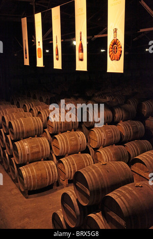 FÄSSER COGNAC IN DEN KELLERN DER MERPINS, CHARENTE (16), REMY MARTIN, FRANKREICH Stockfoto