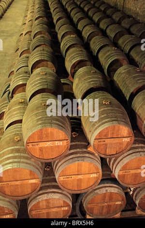 FÄSSER COGNAC IN DEN KELLERN DER MERPINS, CHARENTE (16), REMY MARTIN, FRANKREICH Stockfoto