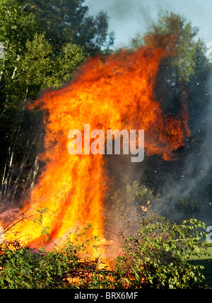 Schrubber-Haufen mit einem riesigen prasselnden Feuer verschlingt die Bäume Stockfoto