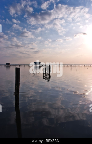 Verfallener Steg in den See Stockfoto