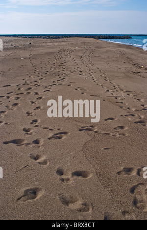 Fußabdrücke auf Sandstrand Stockfoto