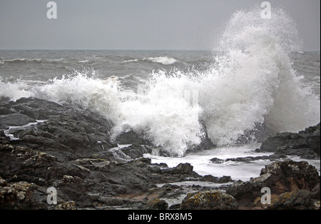 Stürmische Meere Montrose Angus Ostküste Schottland Stockfoto