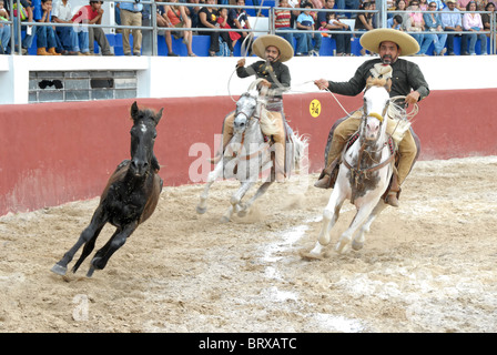 Xmatkuil, Yucatan / Mexiko - November 12: Charro Turnier während der Xmatkuil-Messe Stockfoto