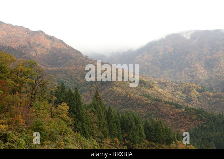 Foggy Mount Hakkaisan im Herbst Stockfoto