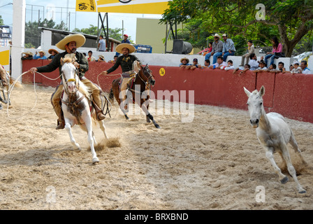 Xmatkuil, Yucatan / Mexiko - November 12: Charro Turnier während der Xmatkuil-Messe Stockfoto