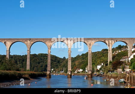 der Calstock-Viadukt, eine Eisenbahnbrücke, die Cornwall mit Devon verbindet Stockfoto