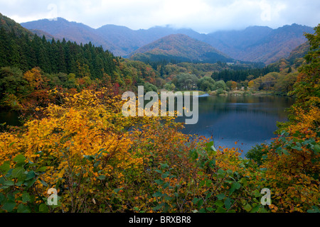 See Daigenta im Herbst Stockfoto