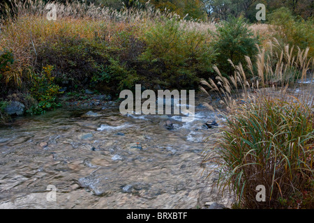 See Daigenta-Ko im Herbst Stockfoto