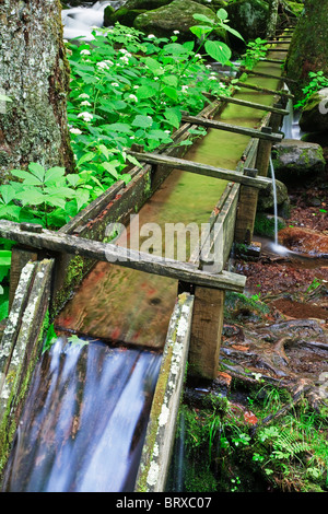 Der Trog oder "Landebahn" verwendet, um das Wasser zu einer Grist Mill in The Great Smoky Mountains National Park zu bringen Stockfoto