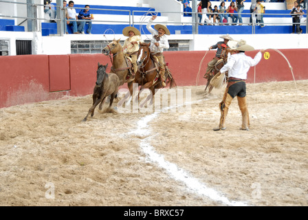 Xmatkuil, Yucatan / Mexiko - November 12: Charro Turnier während der Xmatkuil-Messe Stockfoto