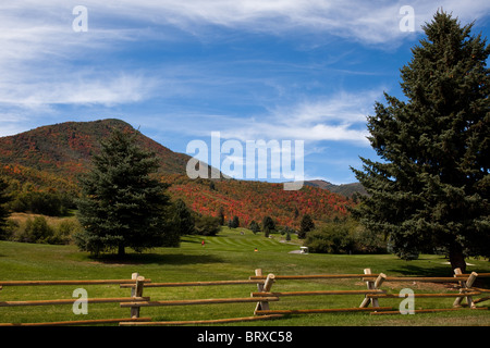 schöner Golfplatz am Rande des Waldes, im Herbst mit Herbstfarben in den Boden zurück genommen Stockfoto