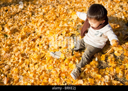 Kleiner Junge sitzt auf Gefallene Herbstliche Blätter Stockfoto