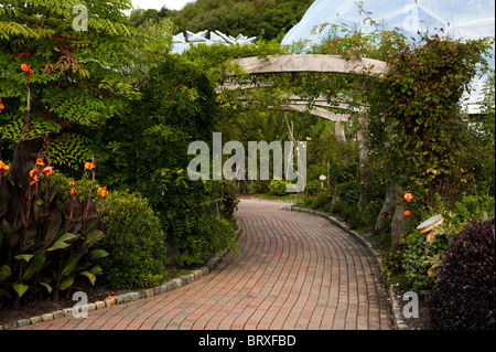 Pergola und Weg bei The Eden Project in Cornwall, Großbritannien Stockfoto