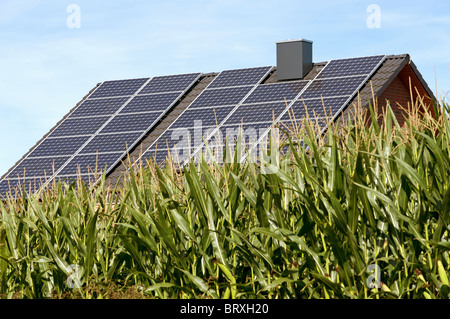 Labyrinth für die Erzeugung von Biogas in der Nähe ein Haus gewachsen mit Solaranlagen ausgestattet Stockfoto