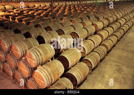 FÄSSER COGNAC IN DEN KELLERN DER MERPINS, CHARENTE (16), REMY MARTIN, FRANKREICH Stockfoto