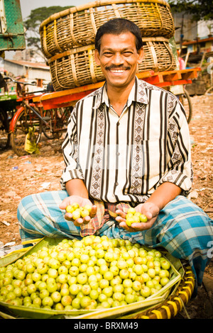 Ein Mann verkauf von Amla Frucht in Dhaka Stockfoto