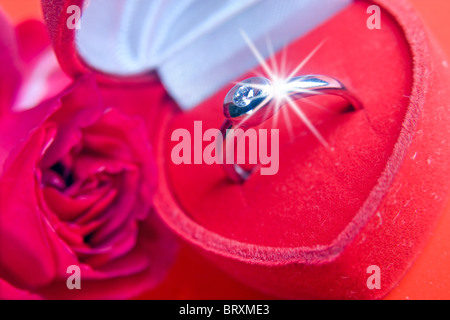 rote Rose mit einem Ring aus Weißgold in einer box Stockfoto