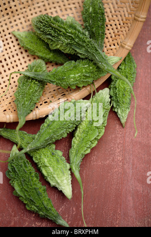 Indische Bittermelone Stockfoto