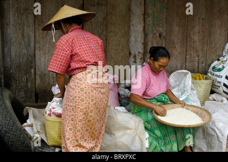 Frau, Reinigung Reis am Markt, Tana Toraja, Süd-Sulawesi, Indonesien Stockfoto