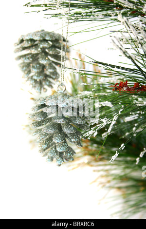 Weihnachten grauen Zapfen hängen Tannenbaum isoliert auf weißem Hintergrund. Stockfoto