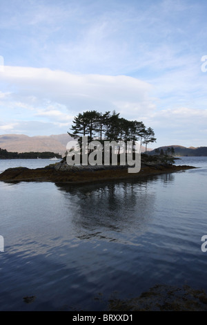 Kleine Insel mit Bäumen im Loch Carron mit plockton Schottland Oktober 2010 Stockfoto