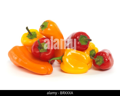Kleine bunte Paprika isoliert auf weißem Hintergrund Stockfoto