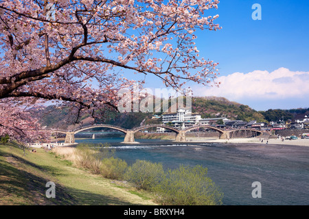 Kintai Brücke und Kirschblüten, Präfektur Yamaguchi, Honshu, Japan Stockfoto