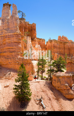 Durch Bruce Canyon wandern Stockfoto