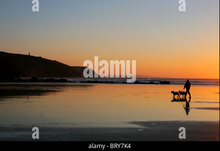 Silhouette der Mann zu Fuß Hunde am Strand von Porthtowan, Küste North Cornwall, England. Stockfoto