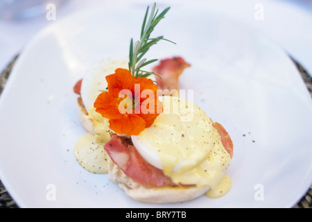 Eier Benedikt Stockfoto