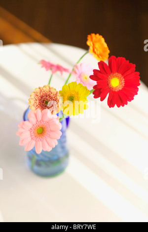 Die gerbera Daisies in einer Vase Stockfoto