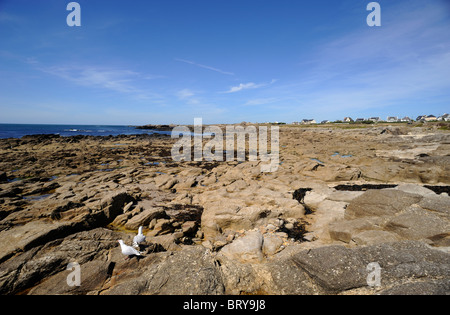 Frankreich, Bretagne (Bretagne), Morbihan, Quiberon-Küste Stockfoto