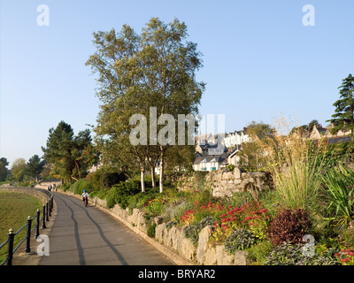 Gärten zur Verfügung gestellt und verwaltet von der bürgerlichen Gesellschaft entlang der Promenade am Grange über Sands Cumbria Stockfoto