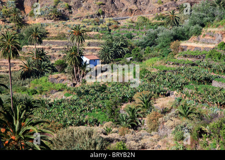 Kanarische Inseln, La Gomera, Hermigua Stockfoto
