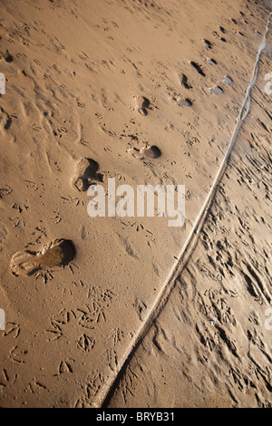 Blick auf Bike und Schuh druckt auf Schlammigen soft Strand sand Stockfoto