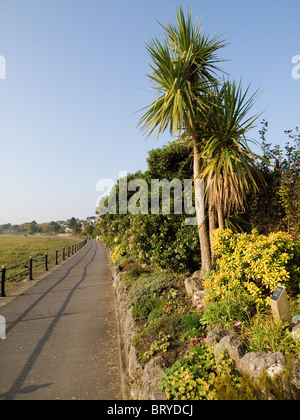 Gärten zur Verfügung gestellt und verwaltet von der bürgerlichen Gesellschaft entlang der Promenade am Grange über Sands Cumbria Stockfoto