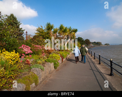 Gärten zur Verfügung gestellt und verwaltet von der bürgerlichen Gesellschaft entlang der Promenade am Grange über Sands Cumbria Stockfoto