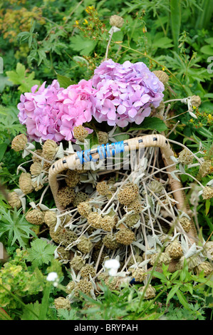 Frisch gepflückten Blumen in einem Weidenkorb Oxfordshire UK Stockfoto