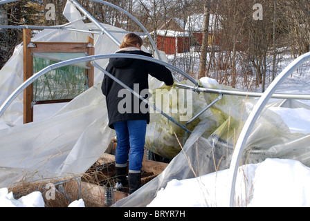 Gebrochene Poly-tunnel Stockfoto