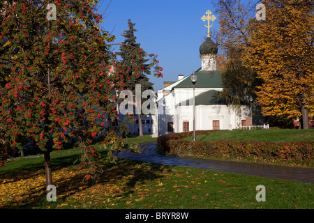 Ambrosius Kirche in das Nowodewitschi-Kloster in Moskau, Russland Stockfoto