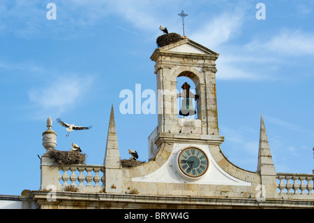 Storchennester in Faro, Algarve, Portugal Stockfoto