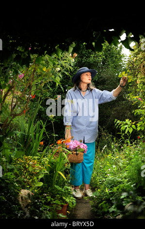 Eine Frau, die Blumen zu pflücken, in einem kleinen Bauerngarten Oxfordshire UK Stockfoto