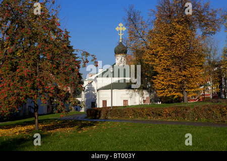 Ambrosius Kirche in das Nowodewitschi-Kloster in Moskau, Russland Stockfoto