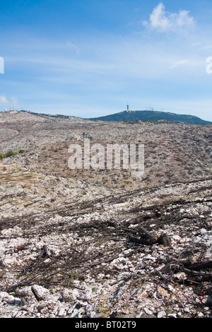 Bleibt nach dem Brand im Jahr 2007 in Parnitha Nationalpark, Griechenland. Stockfoto