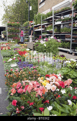 London, UK. Columbia Road Blumenmarkt Stockfoto