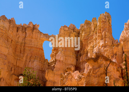 Einzigartigen Felsformationen im Bryce Canyon Stockfoto