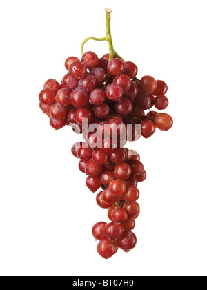 Rote kernlose Weintraube isoliert auf weißem Hintergrund Stockfoto
