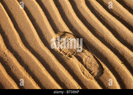 Einen Schuh print auf weichen Sand am Strand Stockfoto