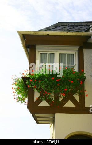 kleines Haus überlebt Stockfoto