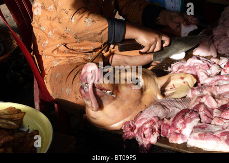 Die Nachmittagssonne scheint auf einen Toten Schweinekopf auf einem Markt in Kratie, Kambodscha. Stockfoto